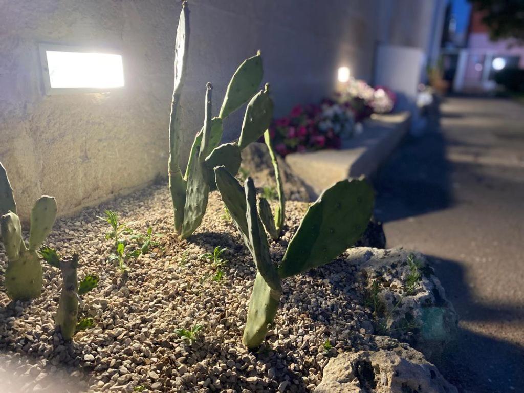 Bed and Breakfast Viro House Squinzano Exterior foto