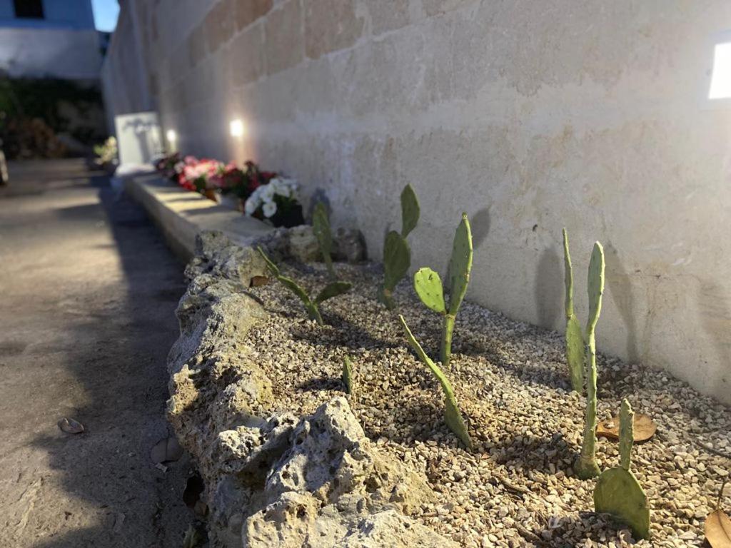Bed and Breakfast Viro House Squinzano Exterior foto
