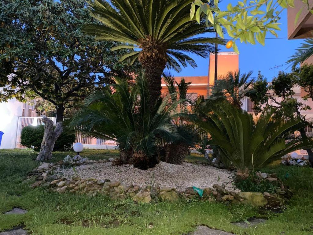 Bed and Breakfast Viro House Squinzano Exterior foto
