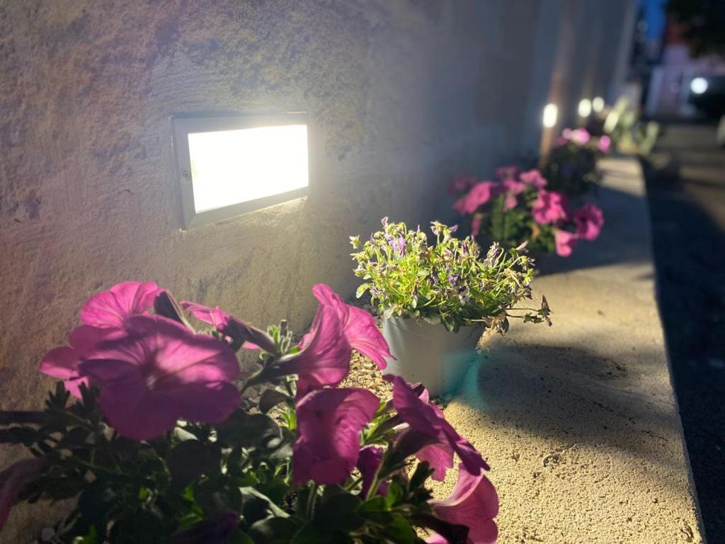 Bed and Breakfast Viro House Squinzano Exterior foto